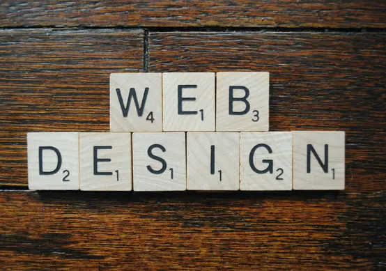 professional web development services
